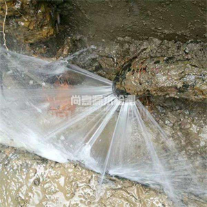 宜城消防管道漏水检测